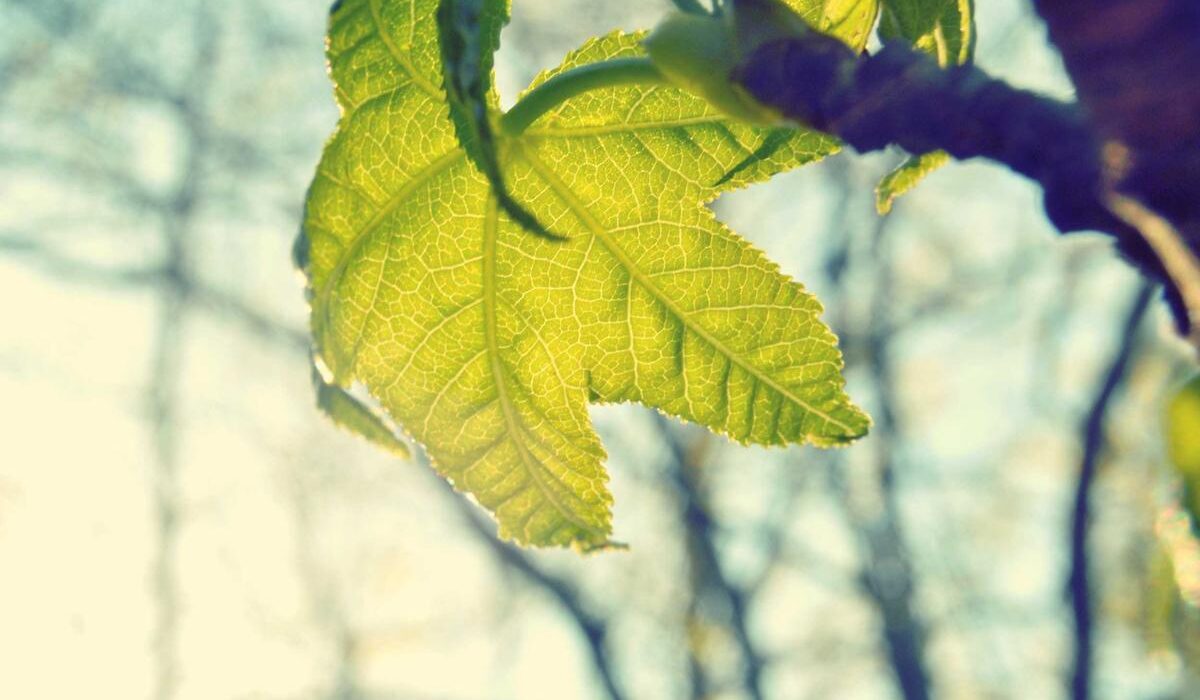 Como Fazer Decoração de Chá de Bebê com Pouco Dinheiro