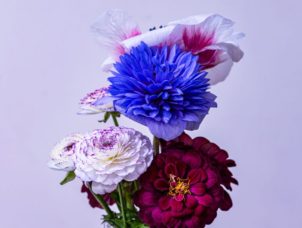Arranjos de flores e centros de mesa de Carnaval